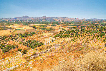 Fototapeta na wymiar Landscape with olive trees and mountains on the background, Crete, Greece, Europe.