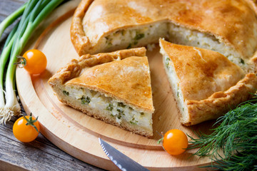 Pie with meat and onions.