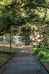 Fototapeta na wymiar Path in Auckland Albert Park, New Zealand