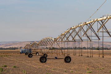 Center pivot sprinkler system watering shoots in a field