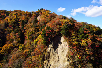 九酔渓の紅葉