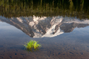 Obraz na płótnie Canvas lake in forest