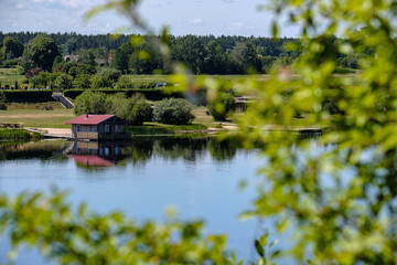 Fototapeta premium calm summer day view by the lake with clean water