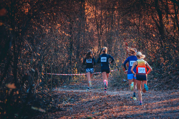 Group of professional cross country female athletes running in competition in autumn nature. Sport...
