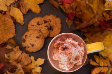 Hot chocolate with cream and cookies