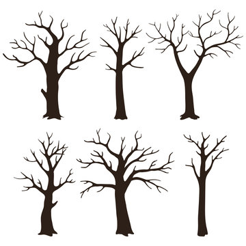 Set of bare tree silhouettes with leafless branches isolated on a white background.
