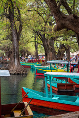 Obraz premium camecuaro