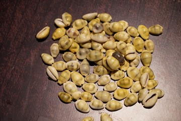 Shellfish is a money substitute.