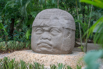cabeza olmeca de piedra tabasco mexico, selva 