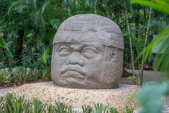 cabeza olmeca de piedra tabasco mexico, selva 