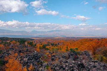 the mountain autumn landscape with colorful forest