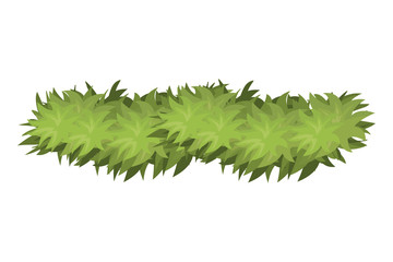 green garland isolated icon