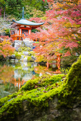 Beautiful Daigoji temple with colorful tree and leaf in autumn season