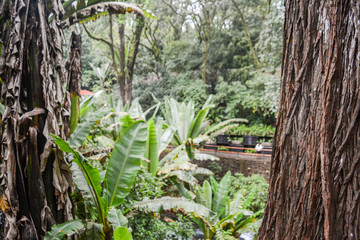 Parque nacional Barranca del Cupatitzio