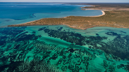 Oblique aerial drone view of seagrass meadows and headlands in the World Heritage Listed Shark Bay...