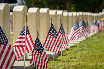 Military Headstones and American Flags on Memorial Day Shallow Depth of Field - obrazy, fototapety, plakaty