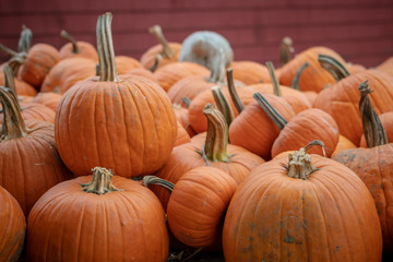 Pumpkins in a red barn