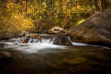 Long Exposure of River Flowing Through Golden Fall Colored Leaves in Forest