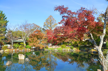 秋の庭園