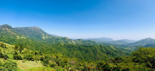 The forest, the mountain and the sky. Panorama landscape.