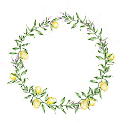 Watercolor illustration. A wreath of lemons. The branches of the lemon tree