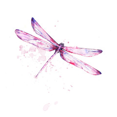 dragonfly watercolor pink splashes - obrazy, fototapety, plakaty