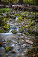 Obraz premium Flowing River Stream With Moss Covered Rocks