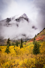 Autumn Colored Leaves on Tree Beneath a Snow-Covered Peak with Clouds