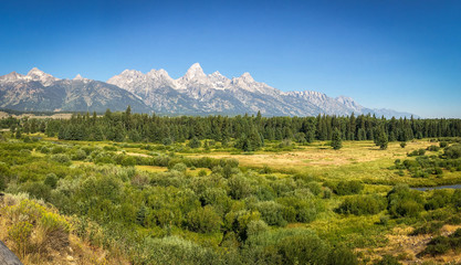 Beneath the Peaks at Grand Teton National Park