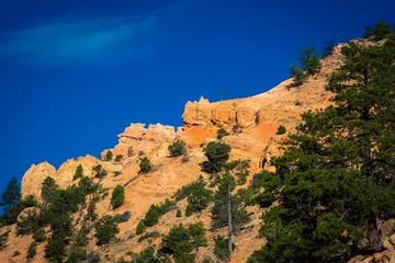 Wall murals Colorful Bryce Canyon in Utah  