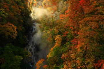 紅葉の小安峡