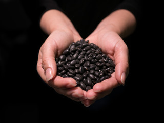 Woman's hands holding raw uncooked black beans from front shallow focus with black background.