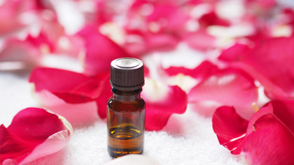 Fototapeta na wymiar Aroma oil glass bottle among red rose petals on white terry towel. SPA and relax concept, selected focus