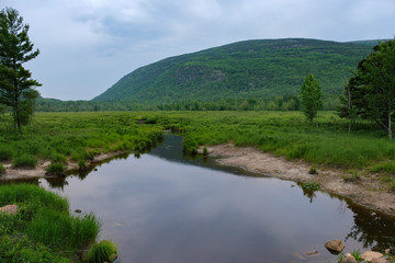 Fototapeta na wymiar A Stream in Acadia National Park, Maine