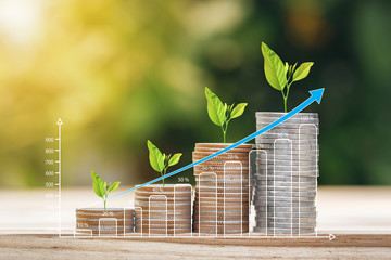 Tree growing on coins stack with growing graph for finance and business concept