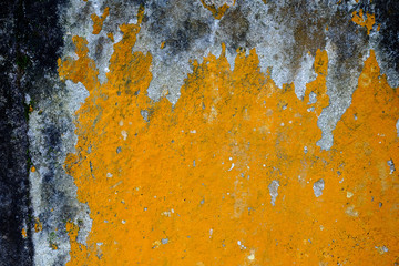 Beautiful brick wall with greenish algae or vegetaion on it. Can be used as wall paper, texture , wallpaper or backdrop.