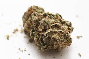 Super close-up of a cannabis bud [Sativa Hybrid] in an isolated background