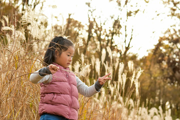 ススキと子ども