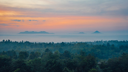 The mist covered the trees in the morning when the sun was rising.