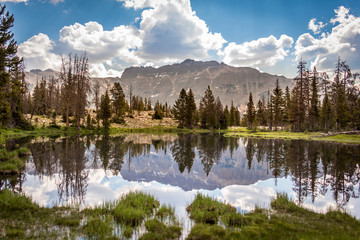 A beautiful clean and clear mountain lake