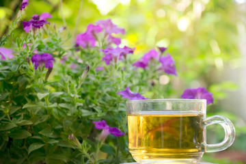 Morning Tea Cup with sunlight