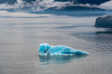 Glacier calf floats in Holkham Bay