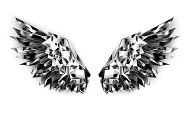 Black mirror wings