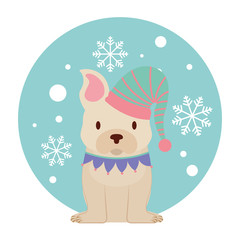 dog merry christmas card