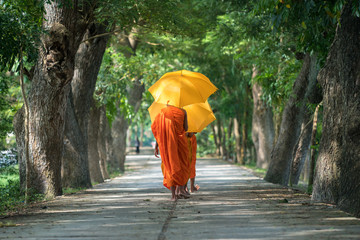 Monks in saffron robe and umbrella walking on rural road among trees in Mekong Delta, Vietnam