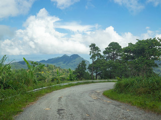 Country road with trees and blue sky background.