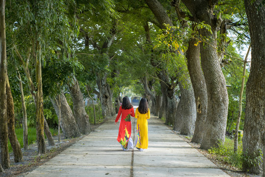 Vietnamese women in traditional dress (Ao Dai) walking on the rural road among trees