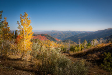Beautiful Mountain Valley in the Fall