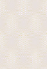 Vector decorative mesh for diploma or certificate. Template. Vector illustration.