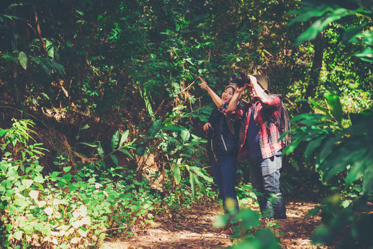 Attractive young couple hiking in the forest using binoculars.